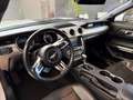 Ford Mustang Fastback 5.0 V8 aut. GT Bianco - thumbnail 8