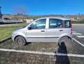 Fiat Panda Panda II 2003 1.2 natural power Dynamic Grigio - thumbnail 4