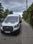 Ford Transit - thumbnail 4