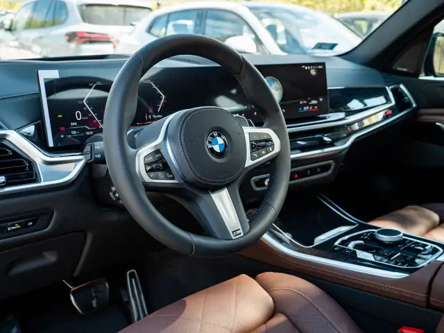 BMW X5 X5 view 12