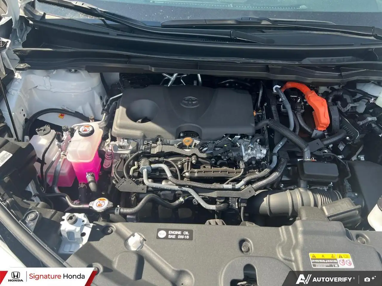 Toyota Sienna снимка Toyota Sienna