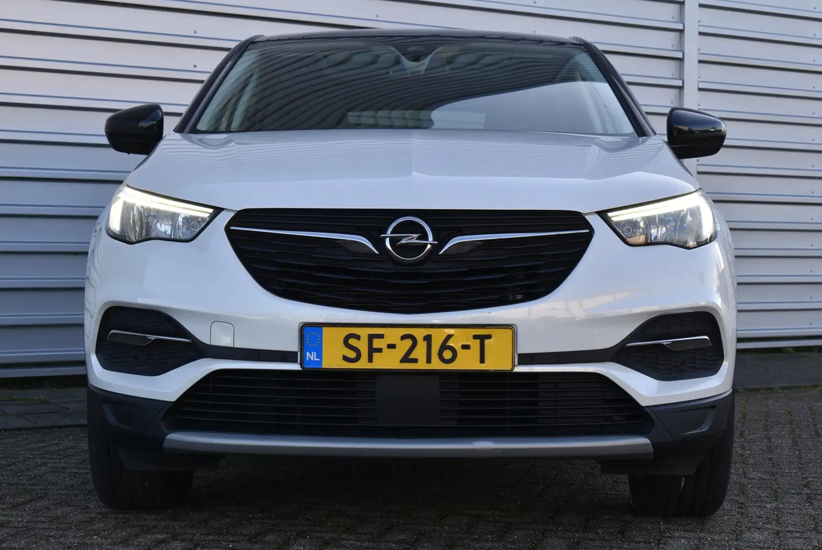 Opel Grandland X 1.2 Turbo Business Executive | Panoramadak | Navig Wit - 2