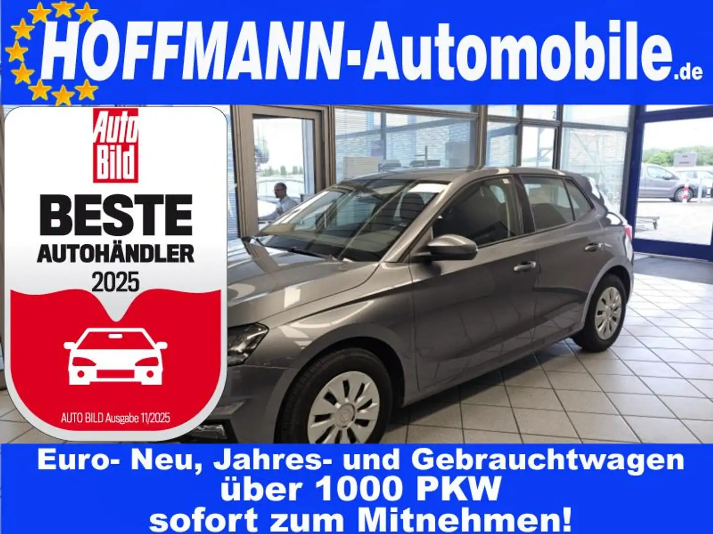 Skoda Fabia Active PDC,LED,KLima,Smart Link Grau - 1