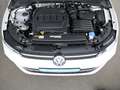 Volkswagen Golf VIII Variant 2.0 TDI DSG Goal Weiß - thumbnail 24