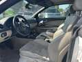 Audi A3 Cabriolet 1.6 TDi Ambition / EXPORT Wit - thumbnail 5