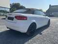 Audi A3 Cabriolet 1.6 TDi Ambition / EXPORT Wit - thumbnail 3
