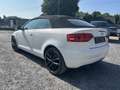 Audi A3 Cabriolet 1.6 TDi Ambition / EXPORT Wit - thumbnail 4