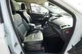 Ford Kuga 2.0 TDCi 4x4 Individual Aut. |ZR+WP NEU!!!| Weiß - thumbnail 16