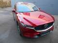 Mazda CX-5 Sports-Line, Plus P 2WD, Leder, Autom. Bose Rouge - thumbnail 2