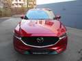Mazda CX-5 Sports-Line, Plus P 2WD, Leder, Autom. Bose Rouge - thumbnail 1