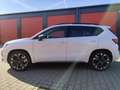 CUPRA Ateca VZ 4Drive BEATS PANO AHK 1.HAND KAMERA360 Weiß - thumbnail 5