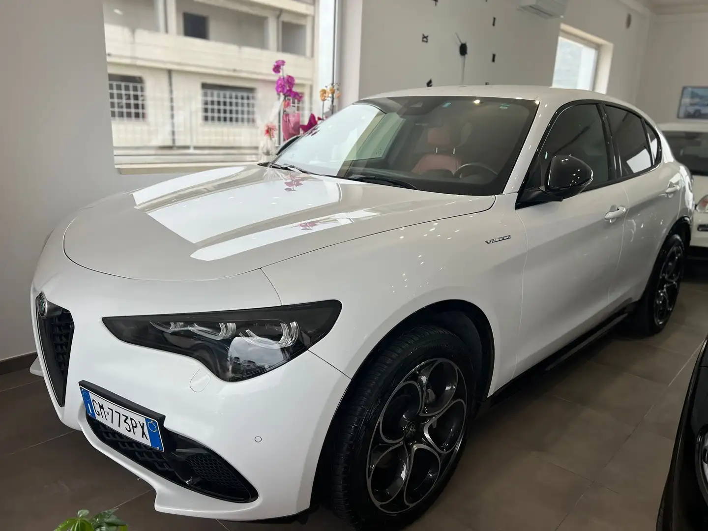Alfa Romeo Stelvio 2.2 t Veloce Q4 210cv auto - 1