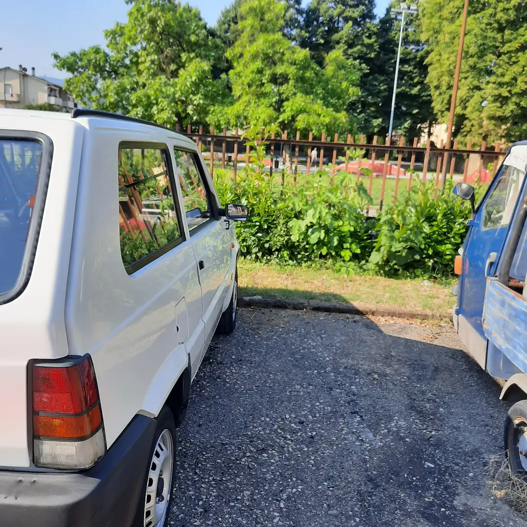 Fiat Panda Panda 1.1 Young Bianco - 2