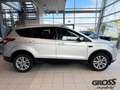 Ford Kuga Cool & Connect AHK // Garantie // Plateado - thumbnail 7