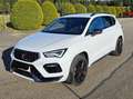 CUPRA Ateca Ateca 1.5 TSI DSG 150 Weiß - thumbnail 1