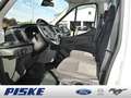 Ford Transit 350L2 Trend 3-Seitenkipper  SHZ FSE Blanc - thumbnail 7