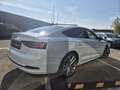 Audi A5 SPORTBACK 40 TDI S-Tronic GARA Blanc - thumbnail 14