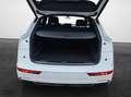Audi Q5 40 TDI S tronic quattro S line LED AHK Memory 1... Weiß - thumbnail 13