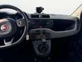Fiat Panda 1.0 FireFly S&S Hybrid City Life Grigio - thumbnail 13