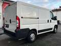 Fiat Ducato Kasten 30 115 Multijet Klima/ ZV/ 3 Sitze Weiß - thumbnail 4