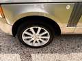 Land Rover Range Rover 3.6 TDV8 HSE Automaat YOUNGTIMER #UNIEK Beige - thumbnail 28