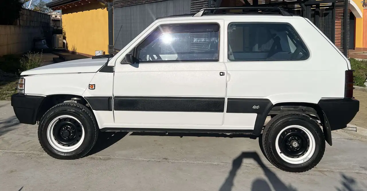 Fiat Panda 1.0 Trekking 4x4 cat., foto 3