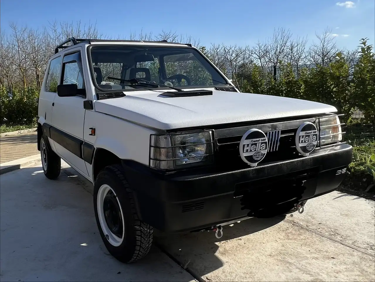 Fiat Panda 1.0 Trekking 4x4 cat., foto 1