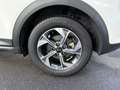 Kia XCeed T-GDi ISG Must Bianco - thumbnail 4