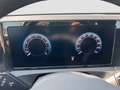 Volkswagen Tiguan Life 1.5 TSI 110kW 7-Gang DSG mit Anschlussgaranti Bleu - thumbnail 13