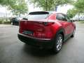 Mazda CX-30 e-SKYACTIV-G 140 Exclusive-Line 360° Rot - thumbnail 5