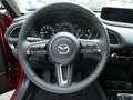Mazda CX-30 e-SKYACTIV-G 140 Exclusive-Line 360° Rot - thumbnail 11