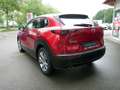 Mazda CX-30 e-SKYACTIV-G 140 Exclusive-Line 360° Rot - thumbnail 6