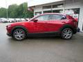 Mazda CX-30 e-SKYACTIV-G 140 Exclusive-Line 360° Rot - thumbnail 28