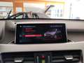 BMW X1 xDrive25e Plug-In-Hybrid auto Fari LED Cruise Navi Gris - thumbnail 33