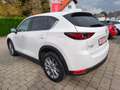 Mazda CX-5 2.2 Sports-Line AWD Voll Weiß - thumbnail 3
