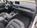 Mazda CX-5 2.2 Sports-Line AWD Voll Weiß - thumbnail 12