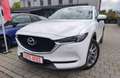 Mazda CX-5 2.2 Sports-Line AWD Voll Weiß - thumbnail 1
