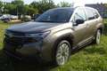 Subaru Forester 2.0ie Platinum 2025 Modell Bronzo - thumbnail 1