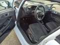 Ford Fiesta Fiesta VI 2013 5p 1.4 Black Bianco - thumbnail 9