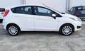 Ford Fiesta Fiesta VI 2013 5p 1.4 Black Bianco - thumbnail 22