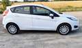 Ford Fiesta Fiesta VI 2013 5p 1.4 Black Bianco - thumbnail 5