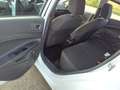 Ford Fiesta Fiesta VI 2013 5p 1.4 Black Bianco - thumbnail 13