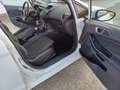 Ford Fiesta Fiesta VI 2013 5p 1.4 Black Bianco - thumbnail 12