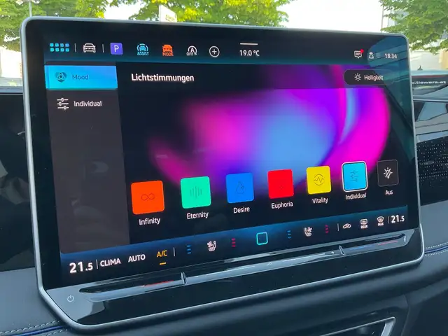 Volkswagen Tiguan R-Line TDI 4MOTION DSG Ansicht 10