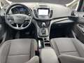 Ford C-Max C-MAX Business AHK Navi Rot - thumbnail 9