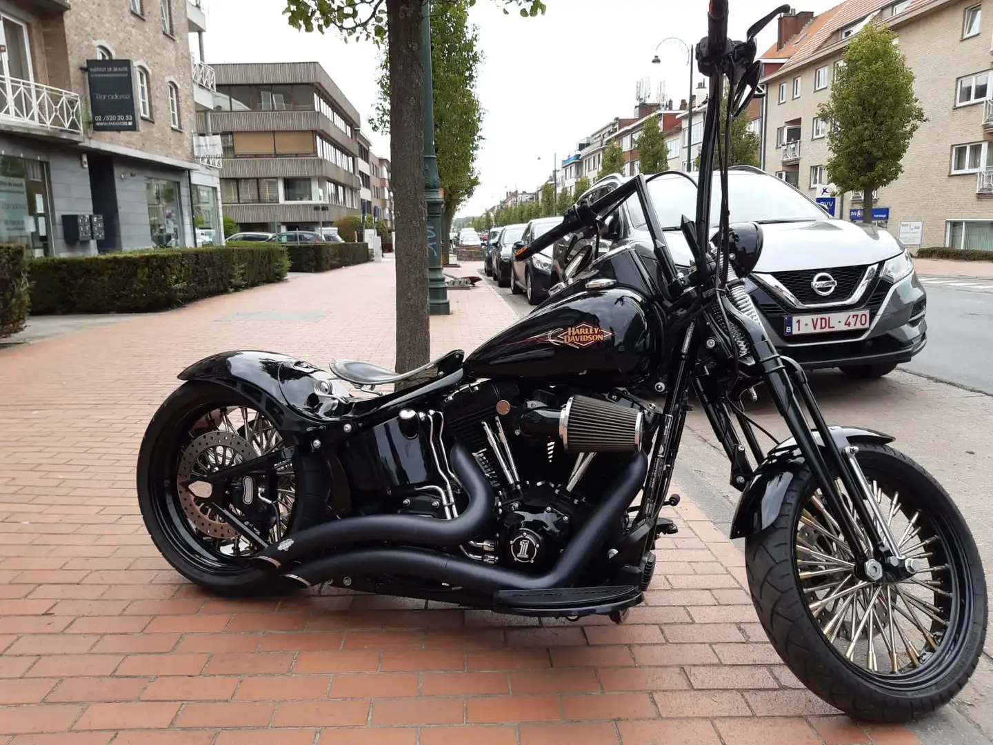 Harley-Davidson Softail Cross Bones Noir - 2