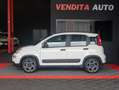 Fiat Panda 1.0 firefly hybrid City Life 70 cv PREZZO REALE Blanc - thumbnail 4