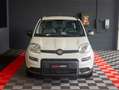 Fiat Panda 1.0 firefly hybrid City Life 70 cv PREZZO REALE Blanc - thumbnail 2