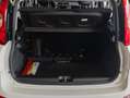 Fiat Panda 1.0 firefly hybrid City Life 70 cv PREZZO REALE Blanc - thumbnail 14
