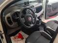 Fiat Panda 1.0 firefly hybrid City Life 70 cv PREZZO REALE Blanc - thumbnail 8